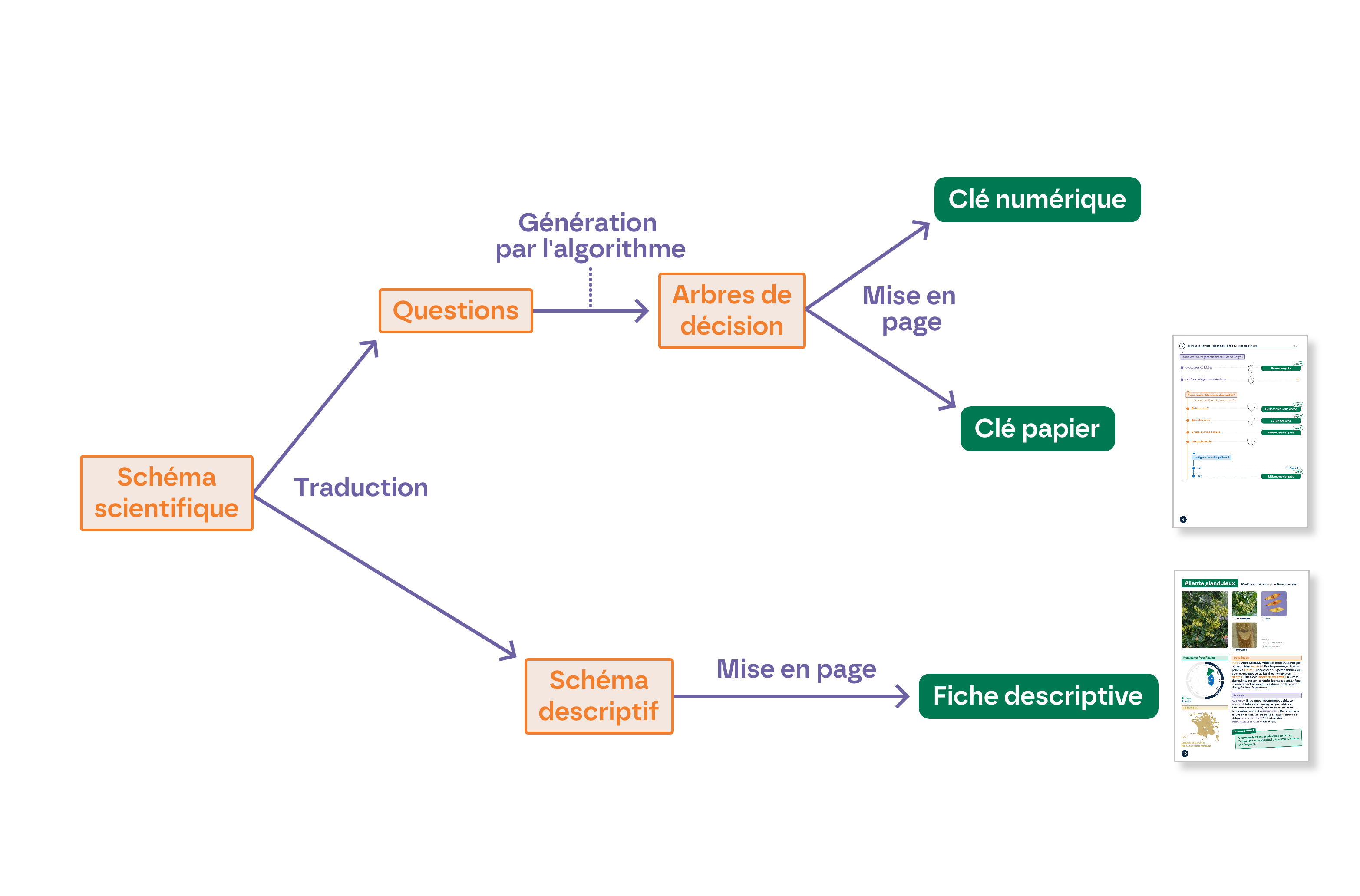 Méthodologie de Botascopia